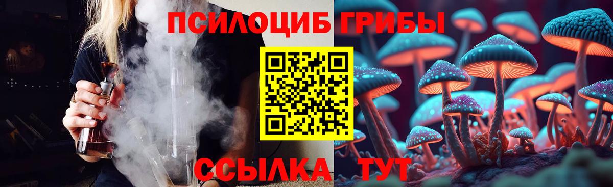 Сибай  Псилоцибиновые грибы Psilocybe  магазин продажи наркотиков  Вход с VPN 